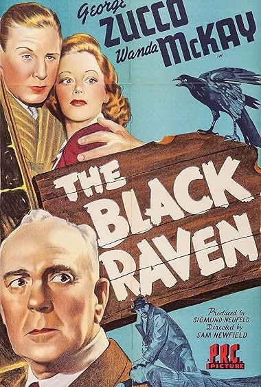 The Black Raven