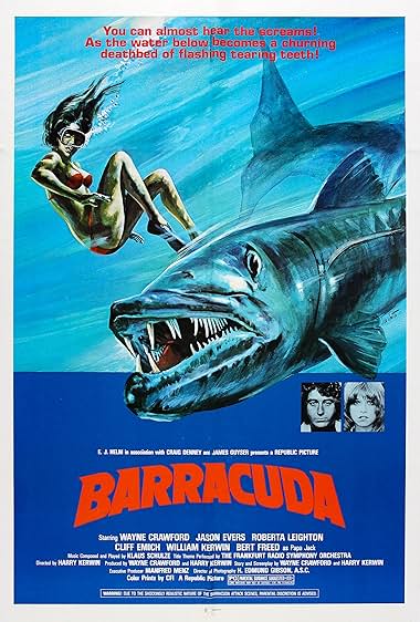 Barracuda
