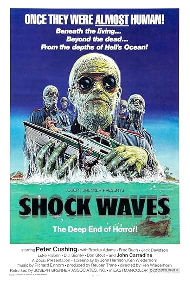 Shock Waves