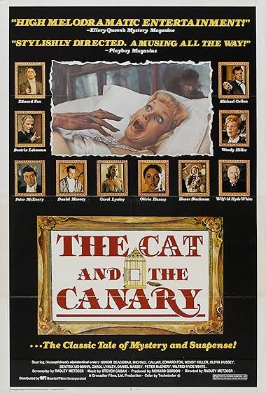 The Cat That Never Came Back