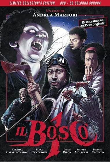 Il bosco 1