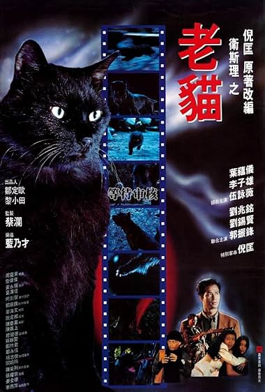 The Cat