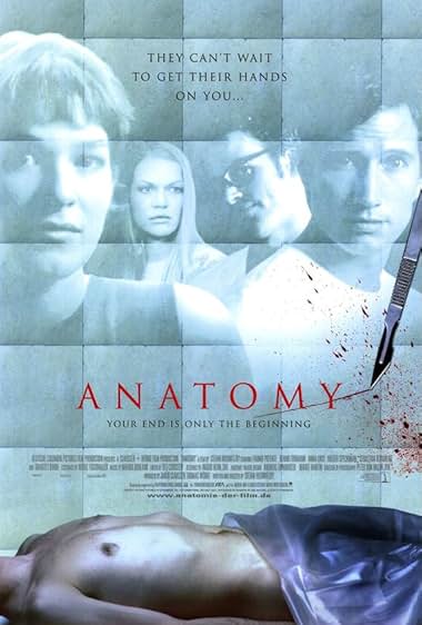 Anatomie
