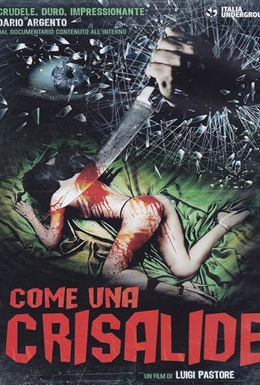 Come una crisalide