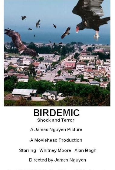 Birdemic: Shock and Terror