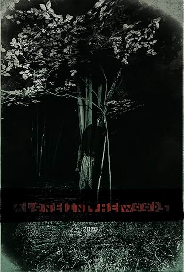 Alone in the Woods