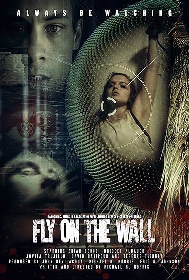 Fly on the Wall