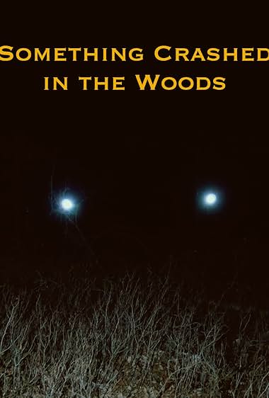 Something Crashed in the Woods