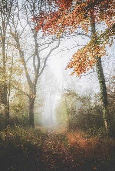 Misty Morn Mountain