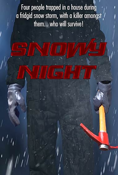 Snowy Night