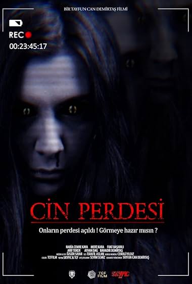 Cin Perdesi