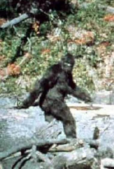 Coke Squatch