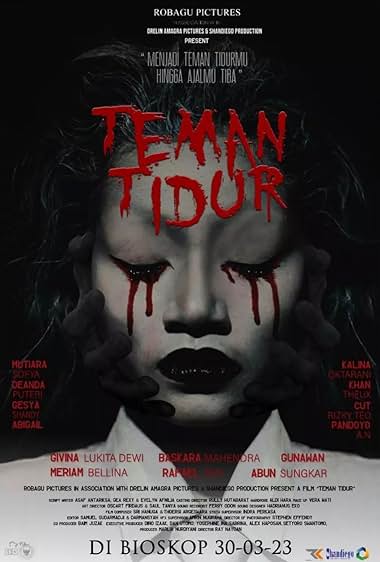 Teman Tidur