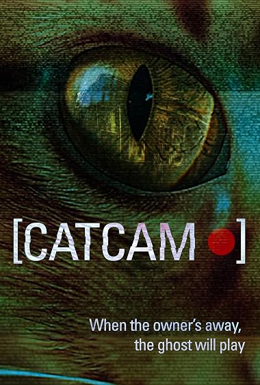 Cat Cam