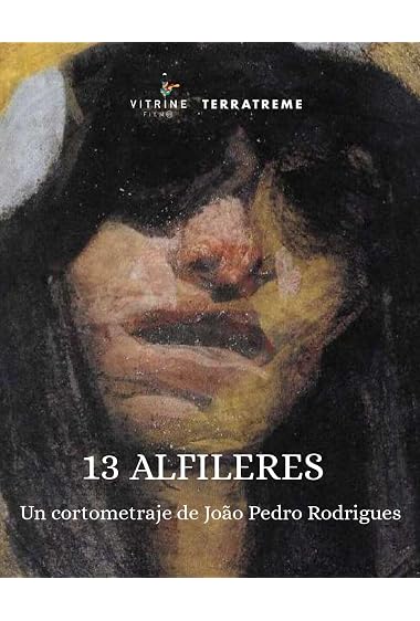 13 Alfinetes