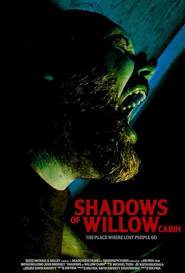 Shadows of Willow Cabin